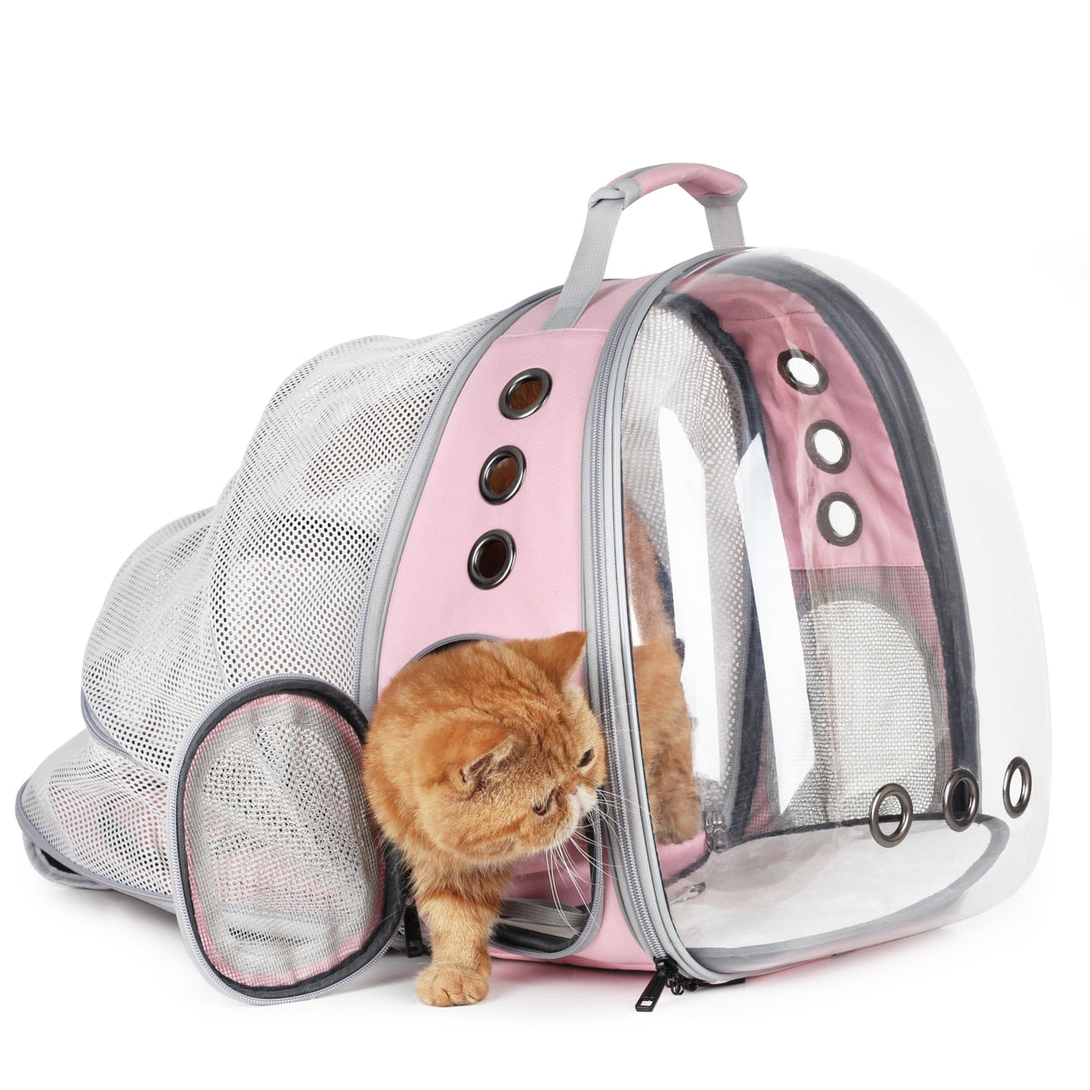 LOLLIMEOW cat carrier backpack bubble-window view promotes calm travel