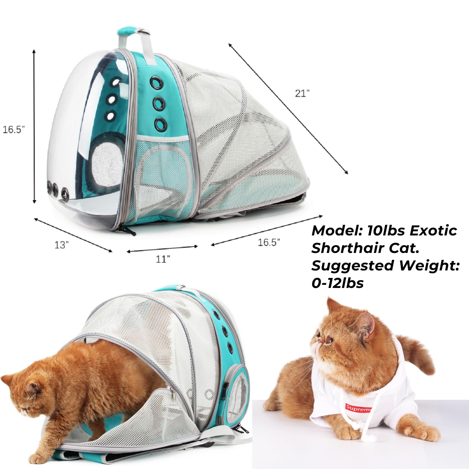 Expandable carrier base shows additional space for a comfortable pet rest