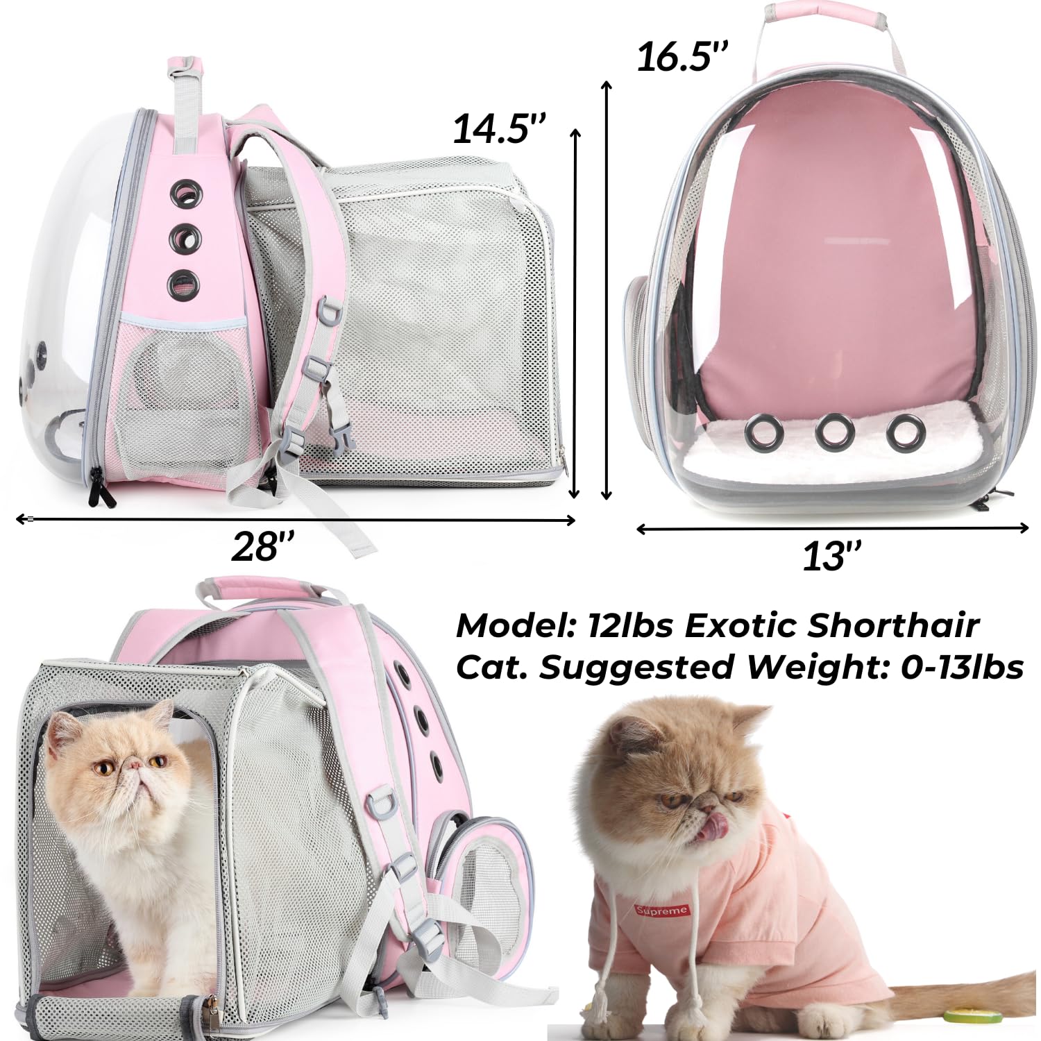 LOLLIMEOW expandable design interior providing extra space for naps during hikes