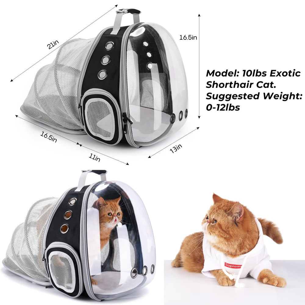 Lollimeow expandable pet carrier size showing extra space for comfort on journeys