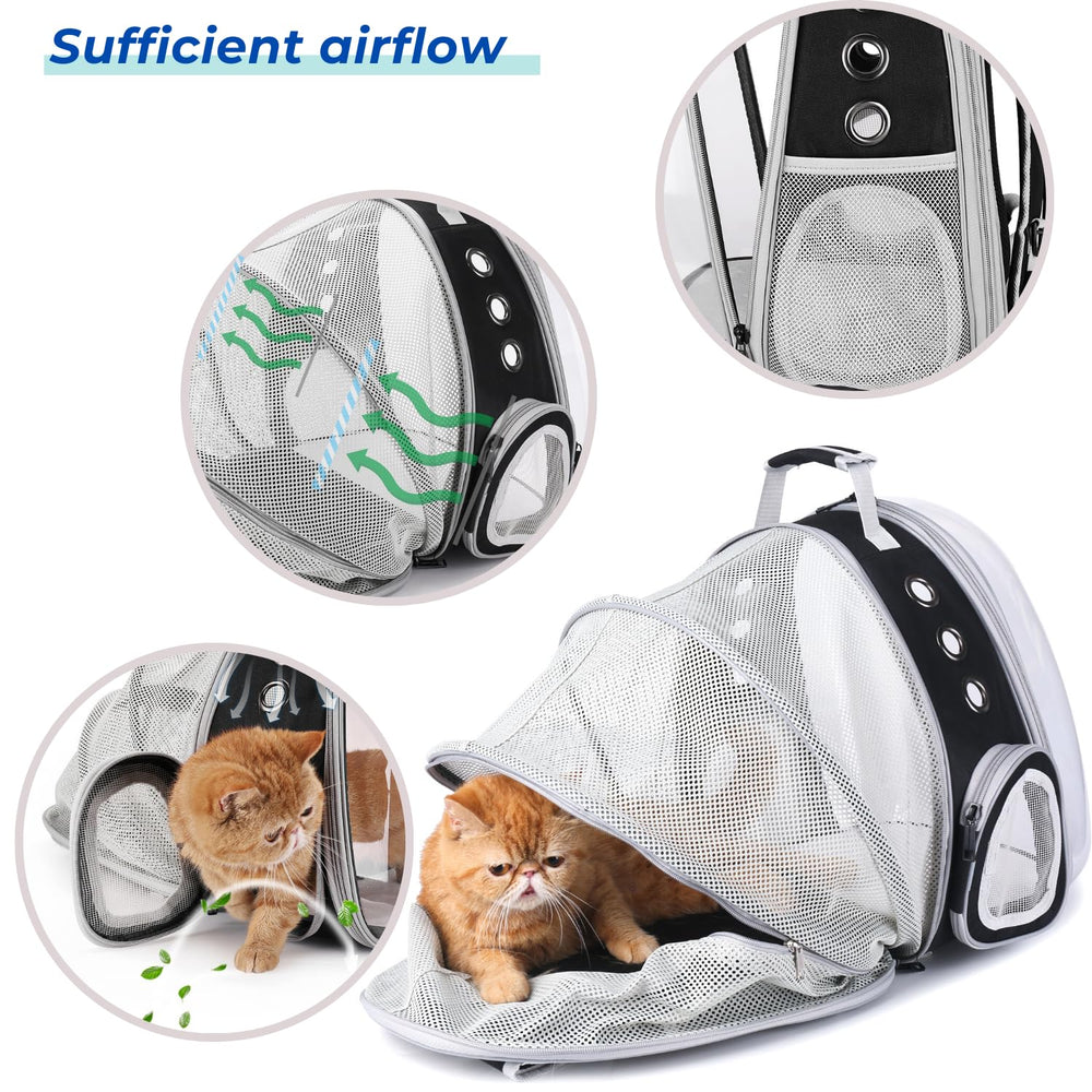 Lollimeow hard-base with cushion providing stable footing during travel