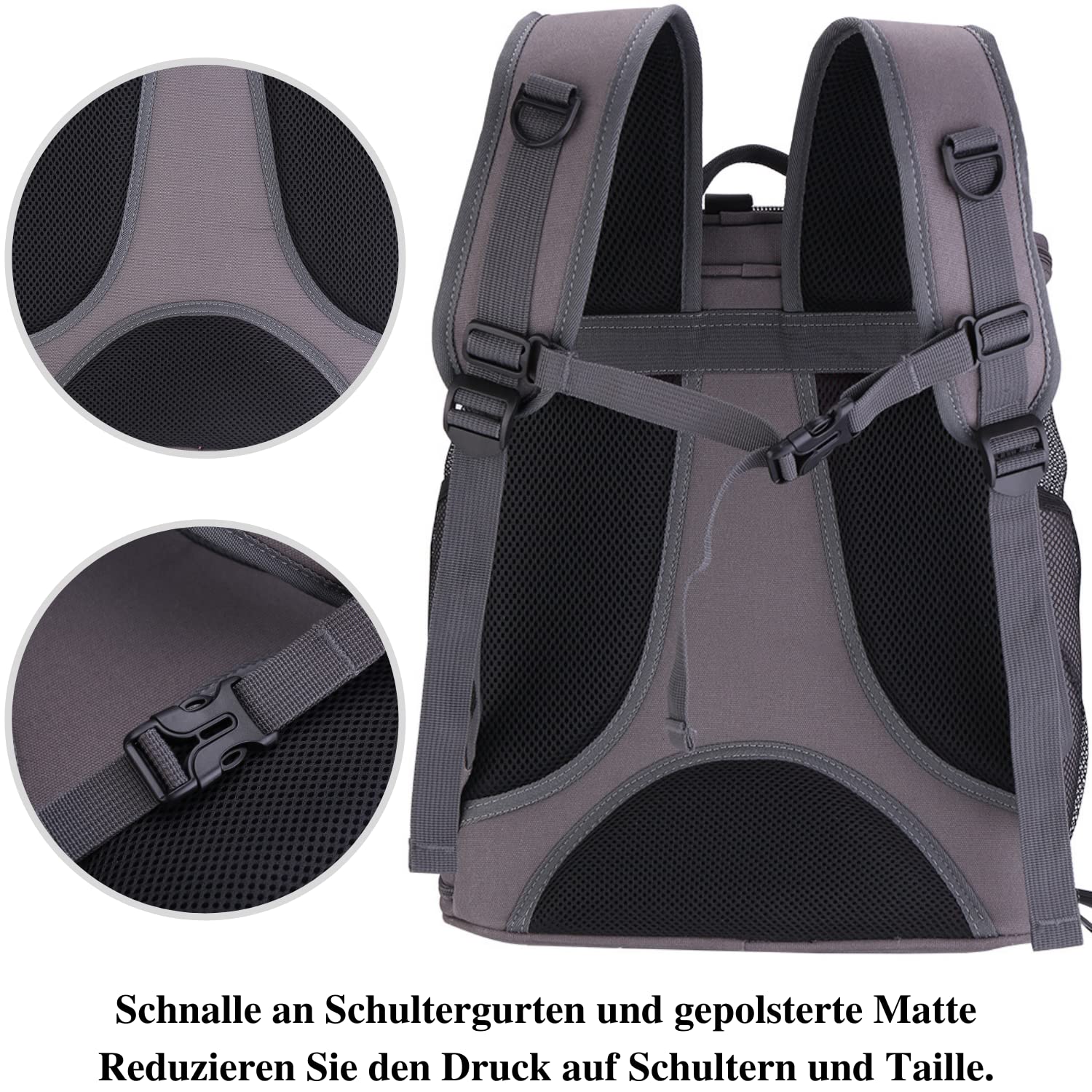 LOLLIMEOW carrier includes dual cushions for travel comfort