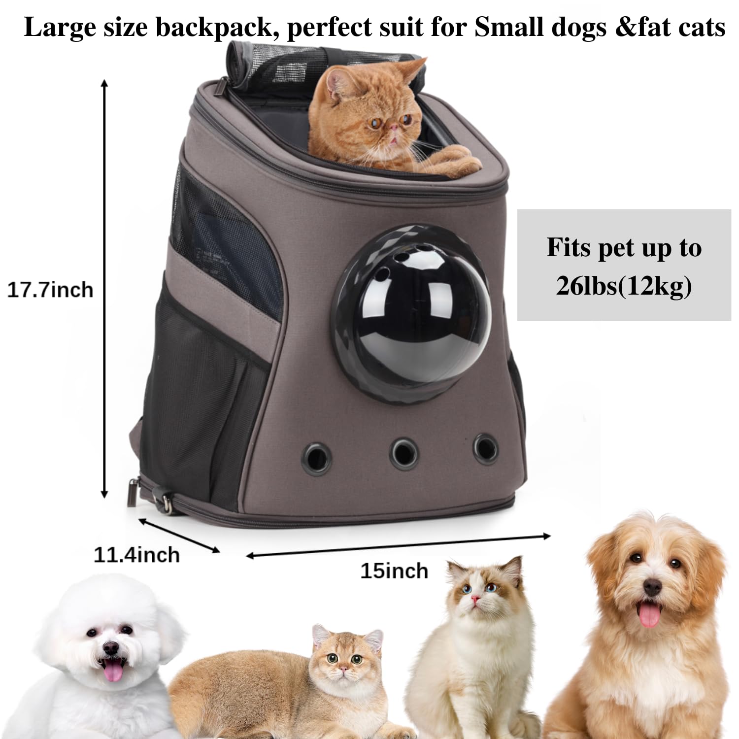 LOLLIMEOW carrier backpack offers three ventilation holes for fresh air