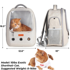 LOLLIMEOW openable bubble window lets pets peek out for extra attention during trips