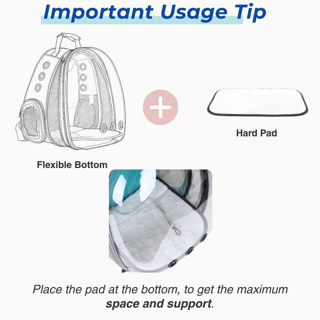 LOLLIMEOW hard base plus soft padding provides a secure, comfortable interior.