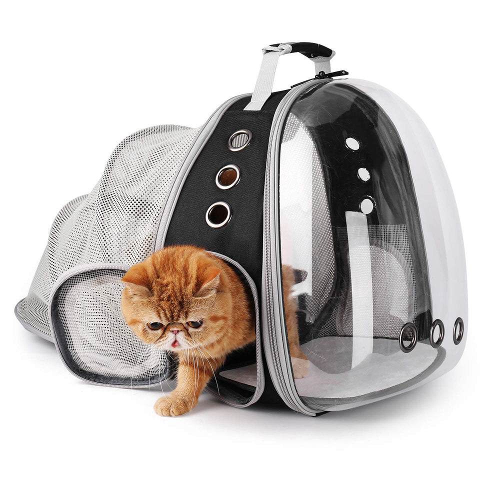 Lollimeow quick-access pocket for treats, collapsible bowl, or small fan