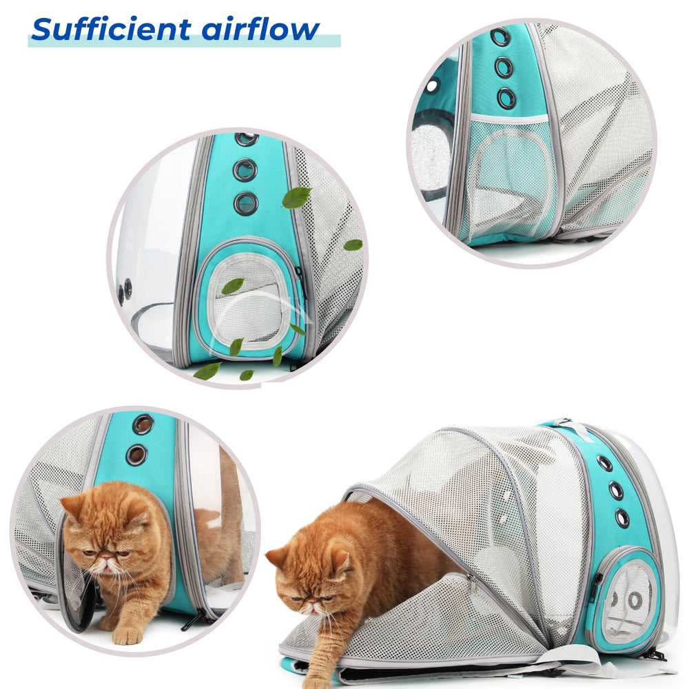 Lollimeow ventilation system with 9 vents ensures airflow during hikes