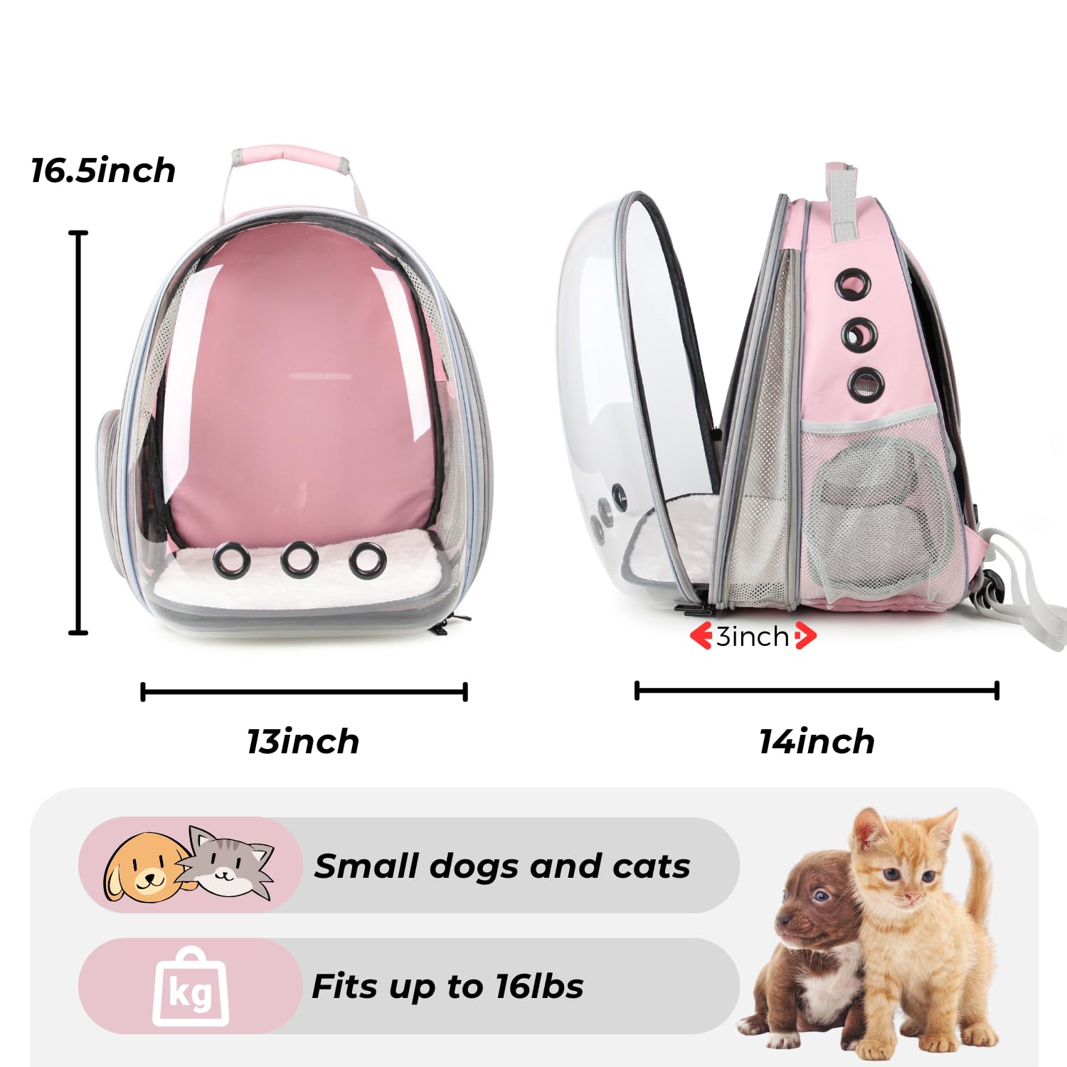 LOLLIMEOW XL carrier dimensions show roomy fit for cats or small dogs.