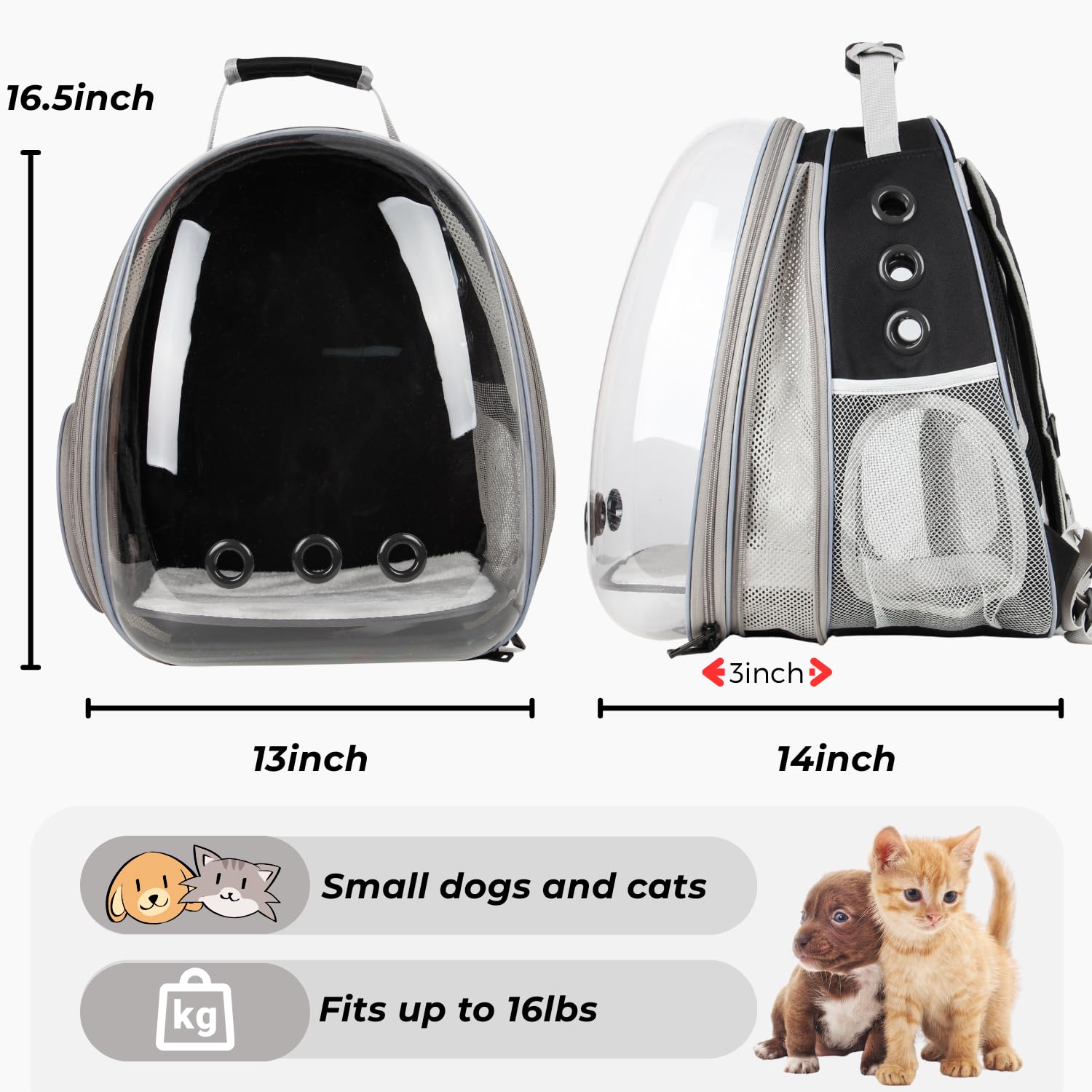 Lollimeow XL expandable carrier shows generous dimensions for larger cats and small dogs.
