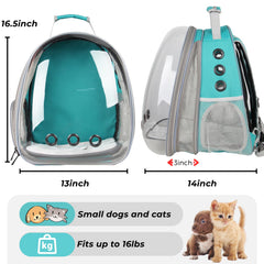 LOLLIMEOW XL size supports pets up to 16 lbs for secure transport.