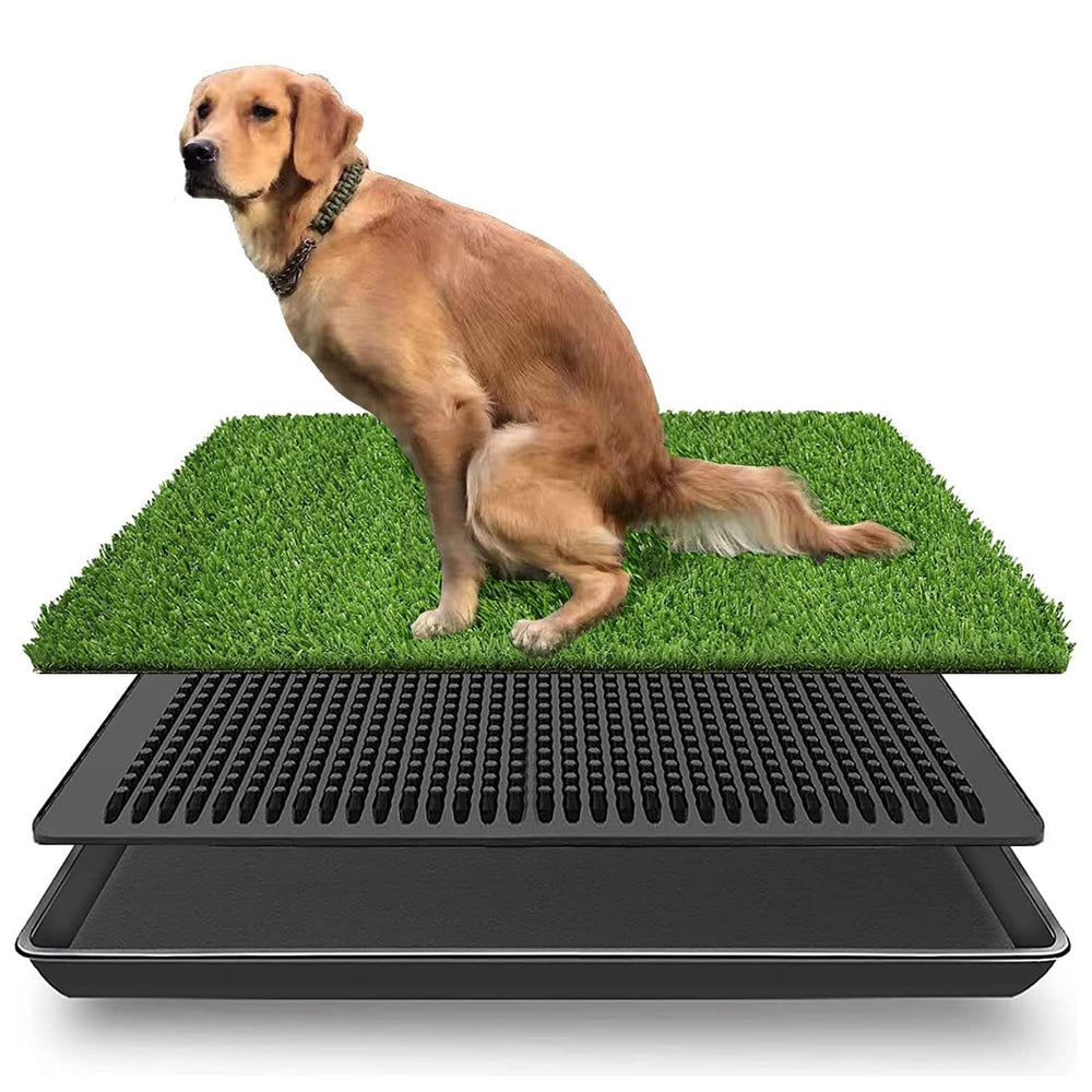 LOMANTOWN dog grass pad tray indoor outdoor demonstrates easy cleanups and all-weather use.