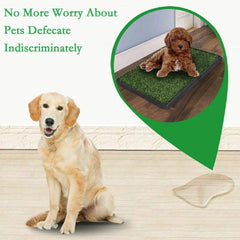 LOMANTOWN grass pad large 30x20 image focuses on spacious comfort for bigger dogs.