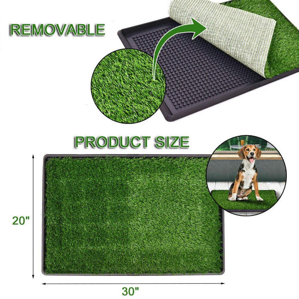 LOMANTOWN puppy training litter box image shows tidy indoor setup for training routines.
