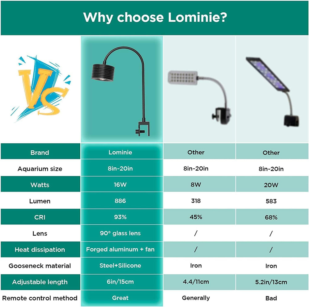 Lominie sunrise to night cycle creating natural aquarium ambiance