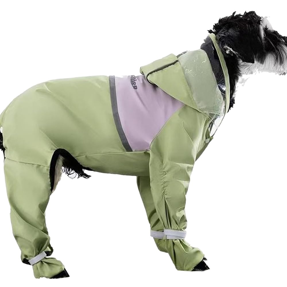Lomosell Pawu Brown raincoat in full-coverage mode during rainy walk for dry paws