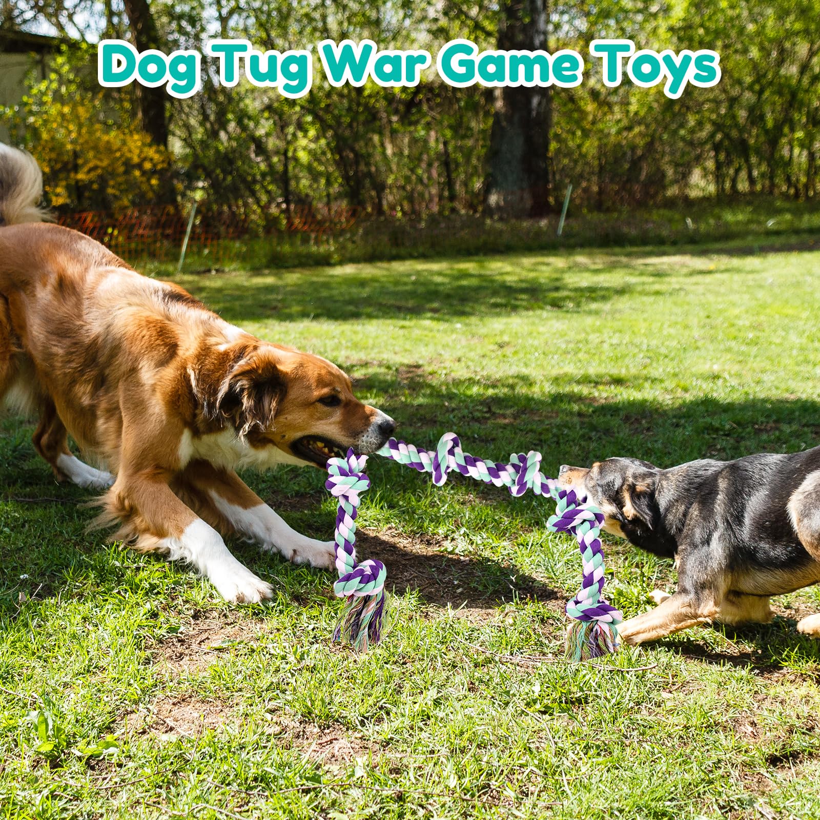 loncoldy rope toy aggressive chewer test – sturdy construction for tough chewers