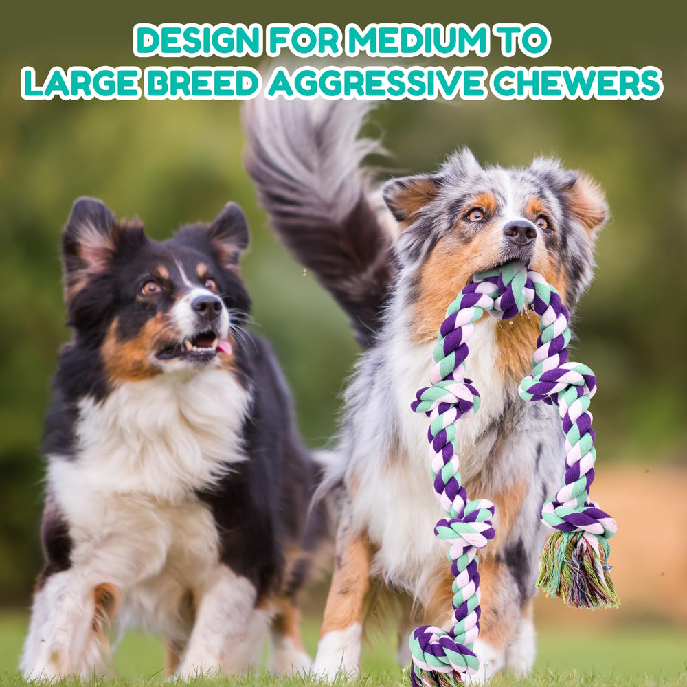 loncoldy dog rope toy bonding interaction – promotes focused engagement during training