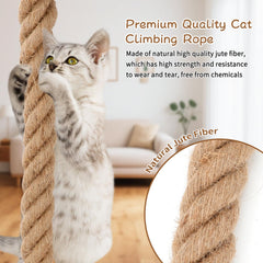 Lonepetu cat climbing rope ceiling mount ready for vertical play.