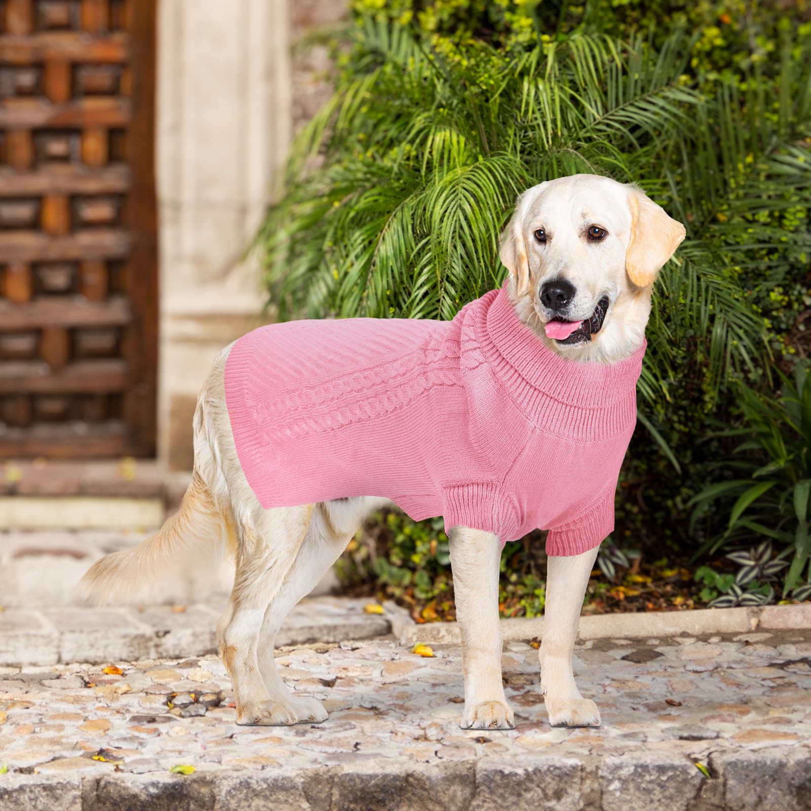 Lonepetu easy-on-off dog sweater design helps quick dressing after walks.