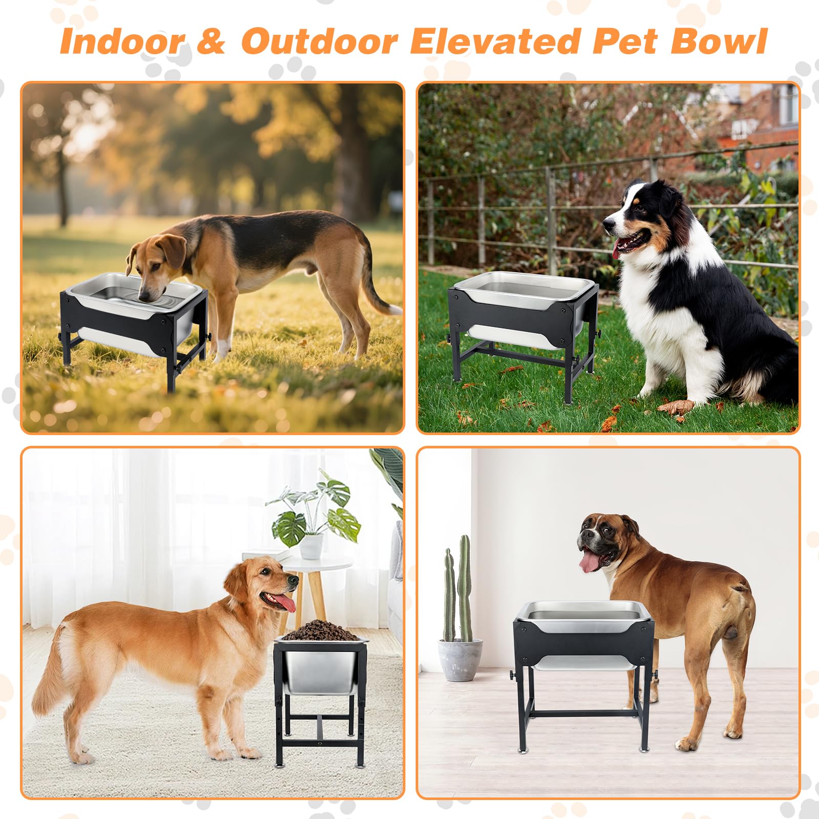 Lonepetu durable raised dog dish designed for steady drinking posture