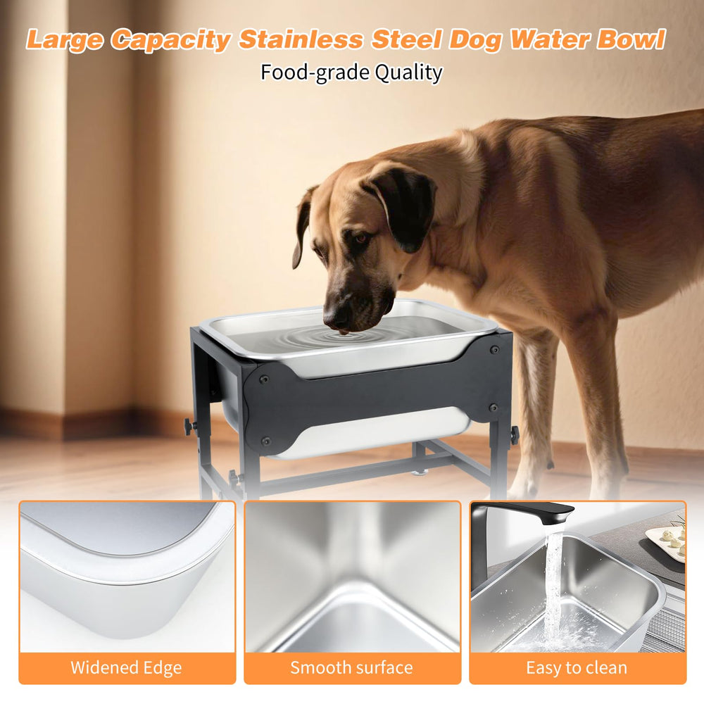 Lonepetu easy-assembly set for quick setup and cleanup