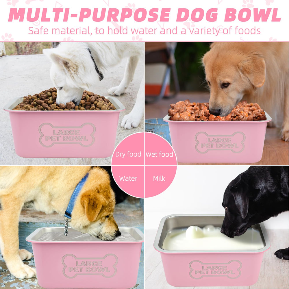 Lonepetu easy-clean dishwasher-safe bowl makes upkeep simple and hygienic.