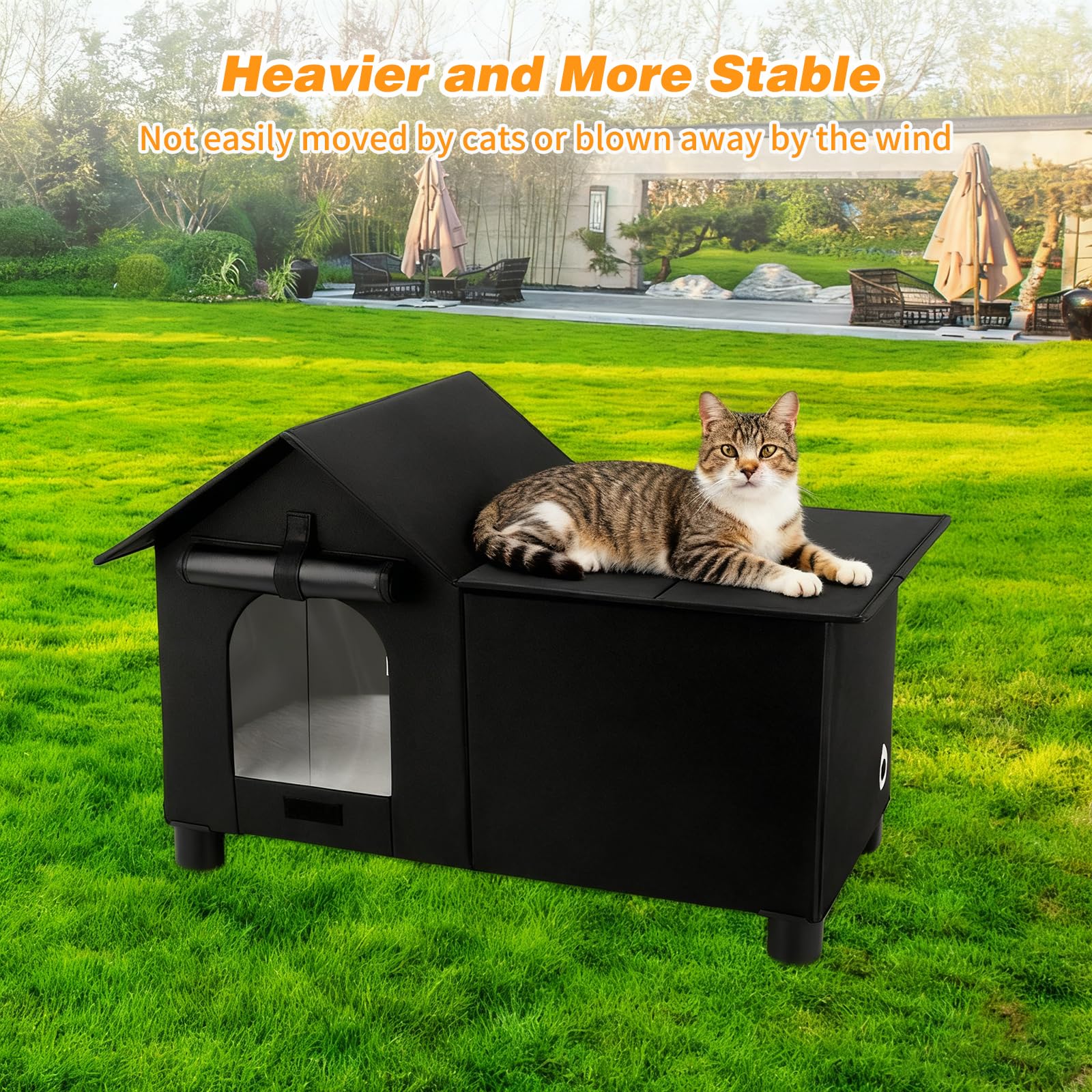 Lonepetu interior spacious area suitable for multiple cats.