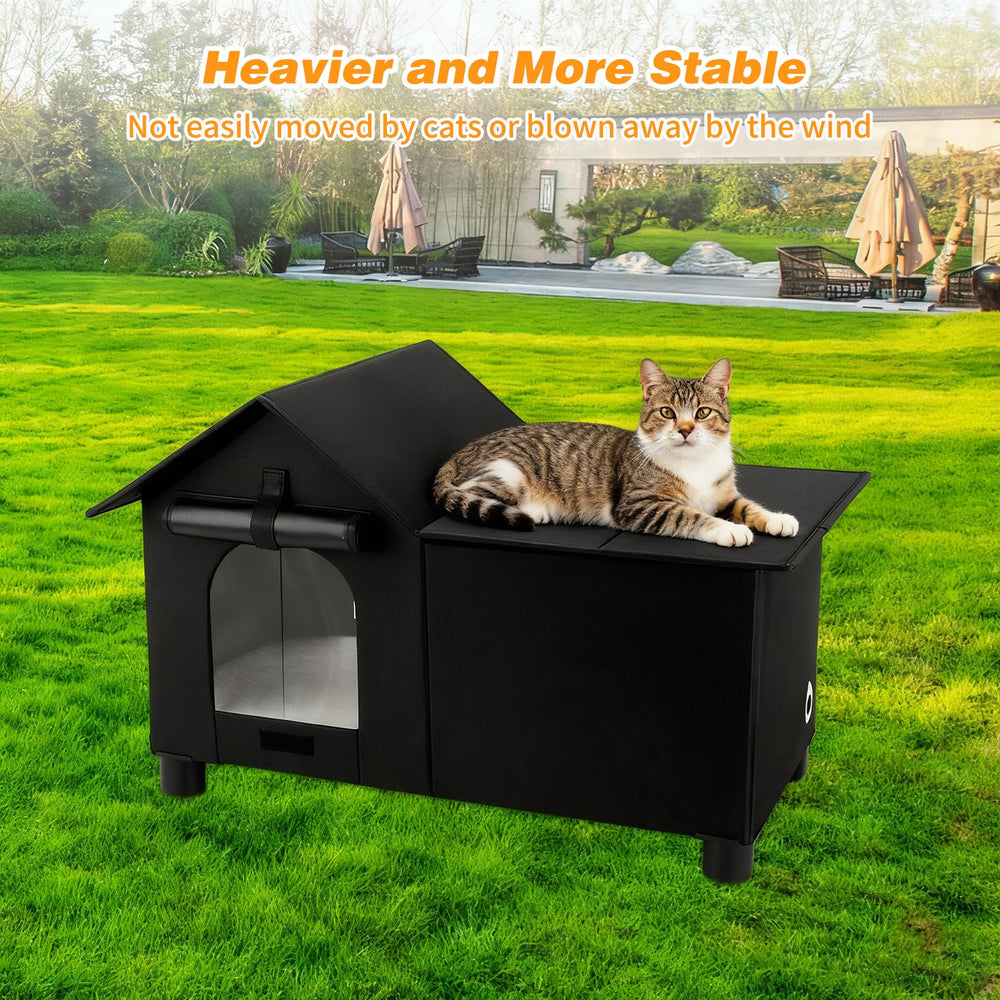 Lonepetu interior spacious area suitable for multiple cats.