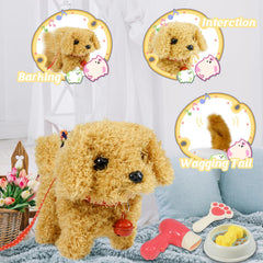 Lonfypeng dog toy with leash enables pretend walks.