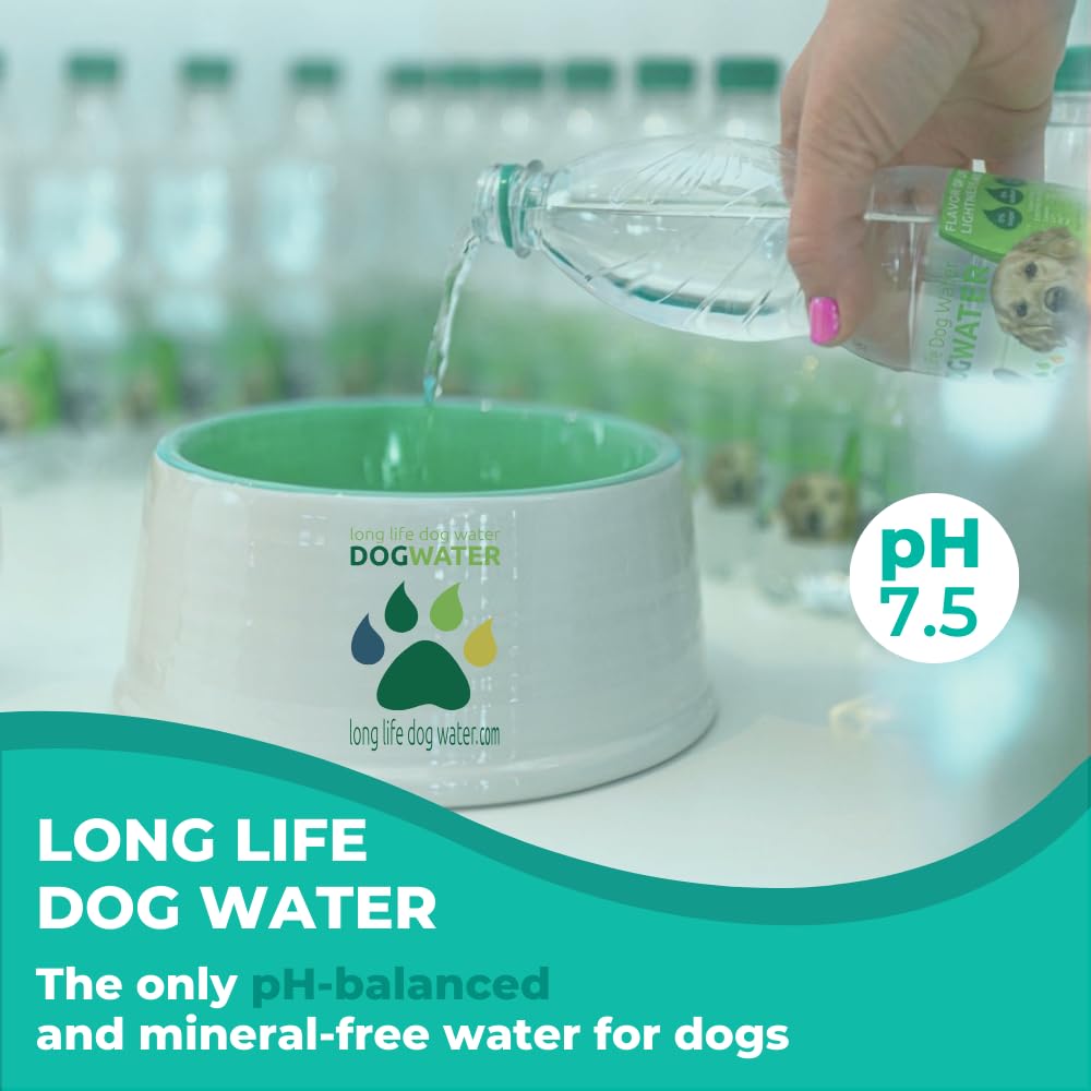 Long Life Dog Water dog-drinking motion captures improved hydration in real life.