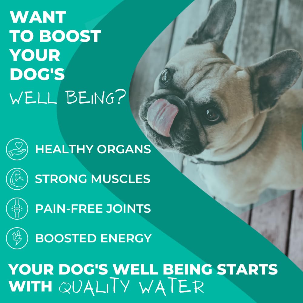 Long Life Dog Water electrolyte-support-graph illustrates balanced minerals for digestion.