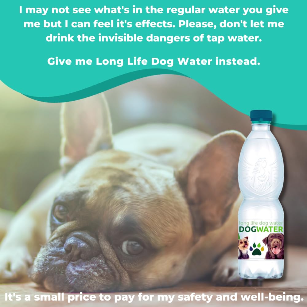 Long Life Dog Water tap-water-concerns underscores avoiding contaminants for pets.