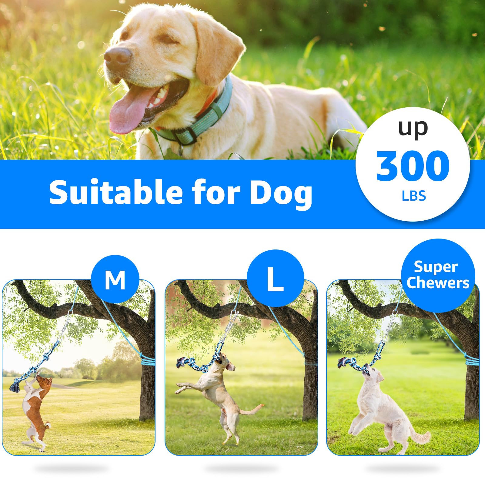 LOOBANI dog enjoying the spring pole toy demonstrates focused exercise and jaw engagement.