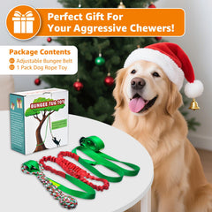 LOOBANI dog tug toy with Christmas packaging boosts festive gift appeal.
