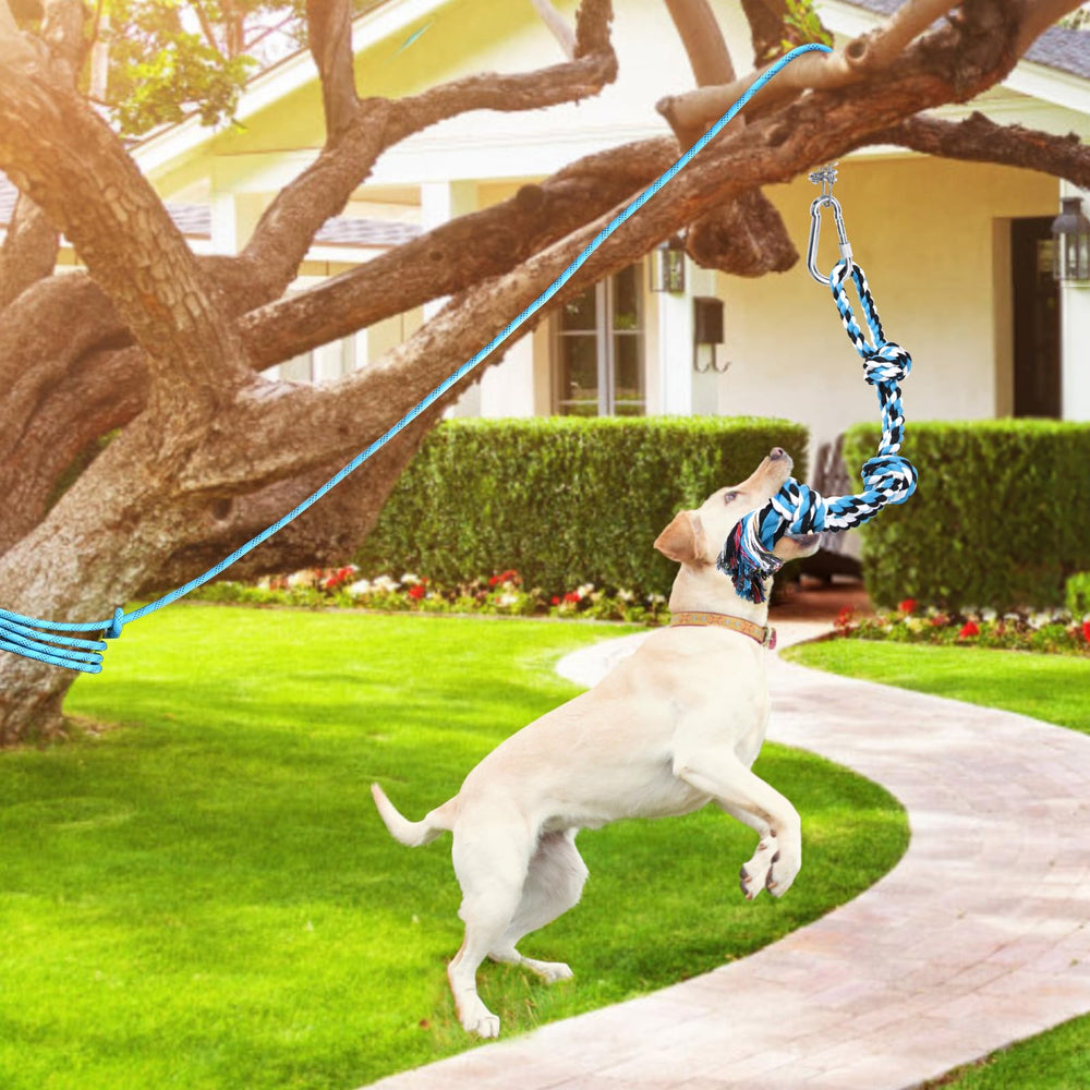 LOOBANI outdoor installation guide shows quick setup around a tree for solo exercise.