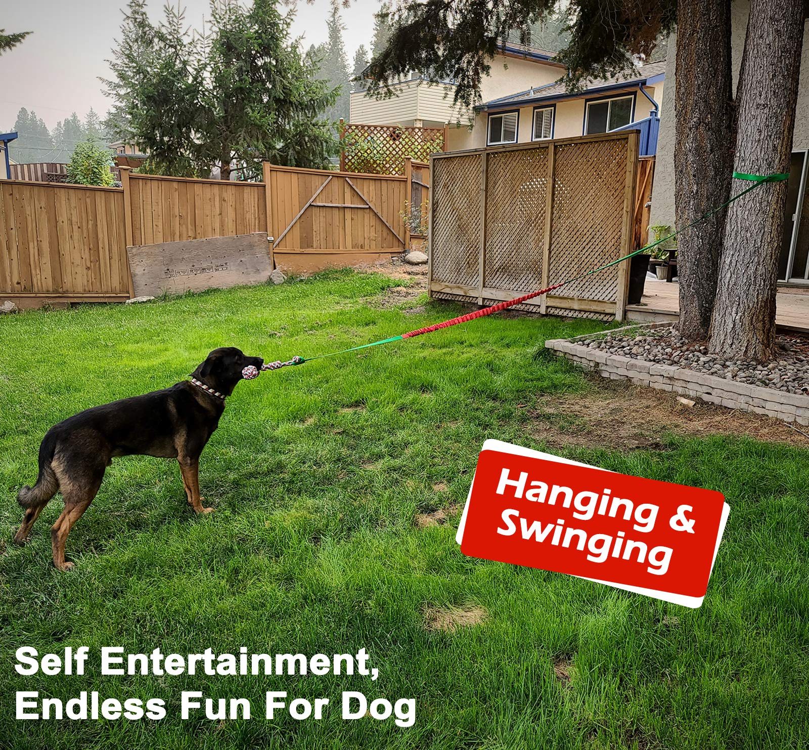 LOOBANI dog toy designed for small to large breeds with secure tree attachment.