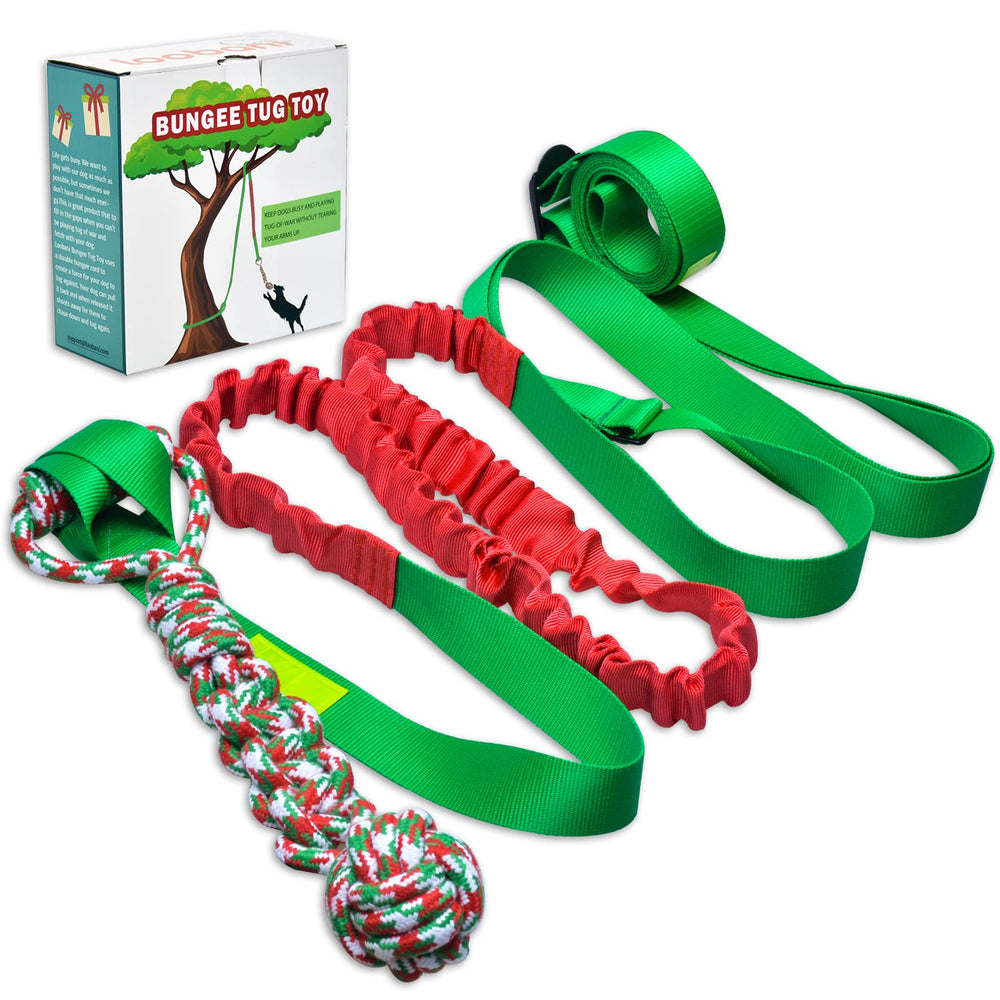 LOOBANI Outdoor Bungee Tug Toy tree-hanging setup supports active play and exercise.