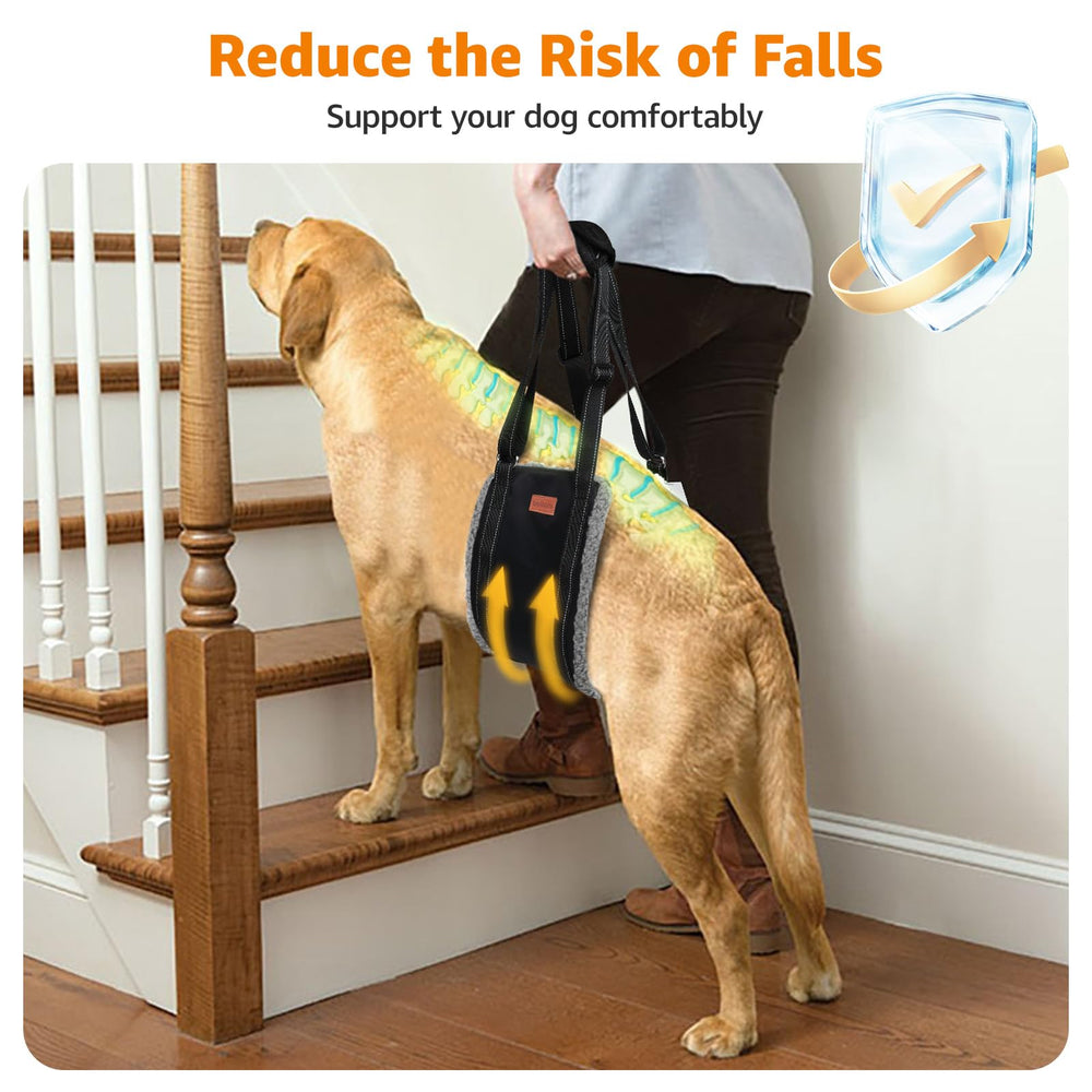 LOOBANI adjustable sling straps fit multiple breeds securely.