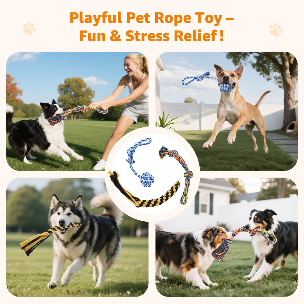 Loobani interactive dog toy encourages bonding during playtime with you and friends