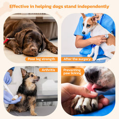 LOOBANI anti-slip dog pads on floor demonstrating reliable grip