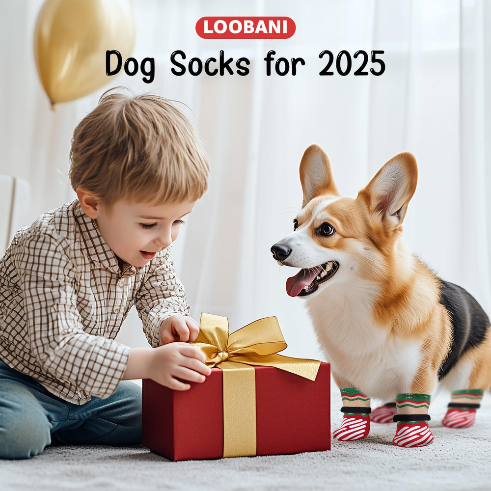 Calcetines LOOBANI para perros con correa ajustable, ajuste seguro y evita que se caigan.