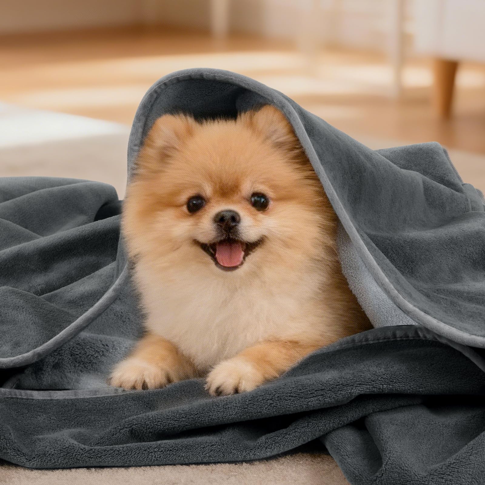 LOOBANI blanket fits beds, sofas, and crates for versatile protection.