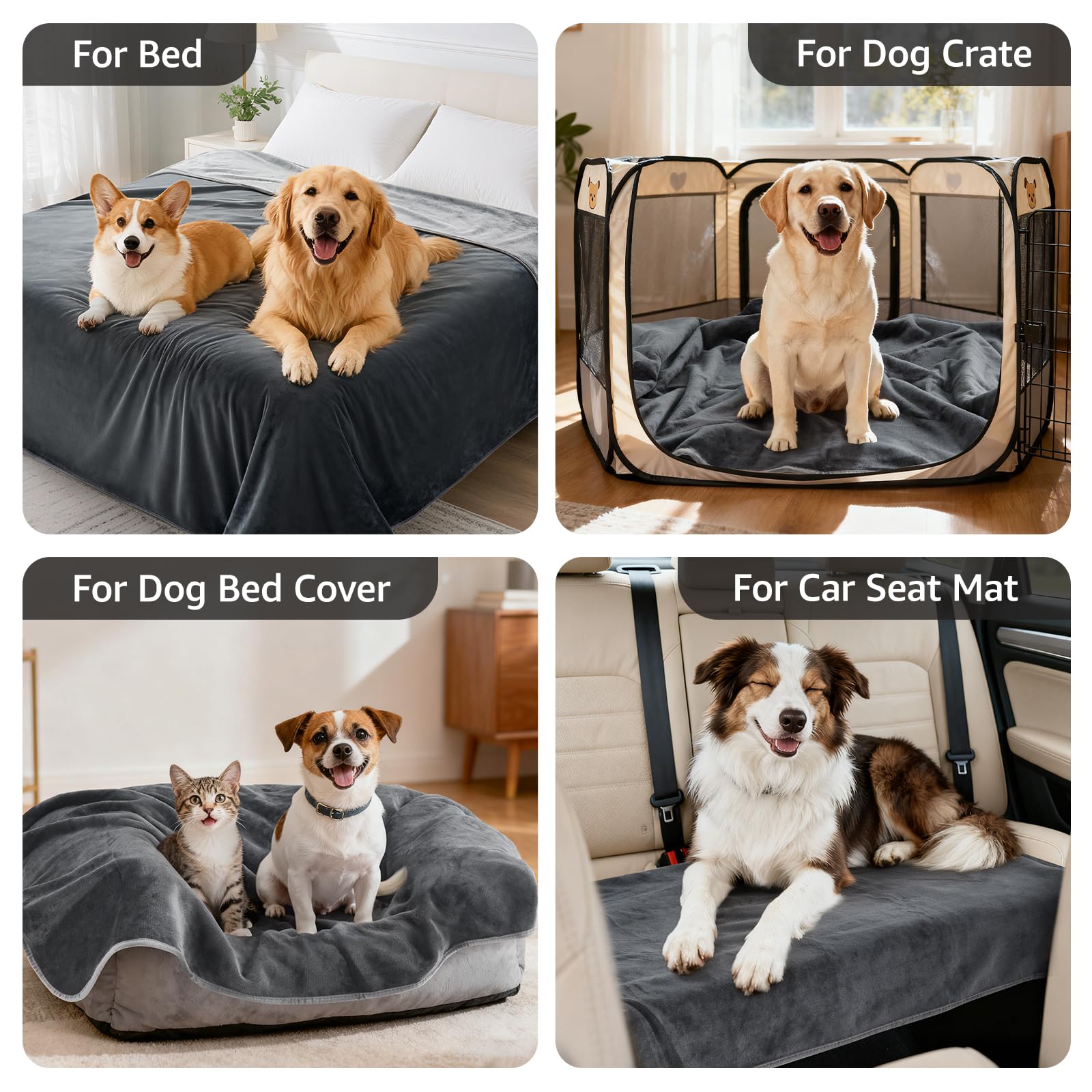 LOOBANI dog blanket ready for car, travel, and picnics with pets.