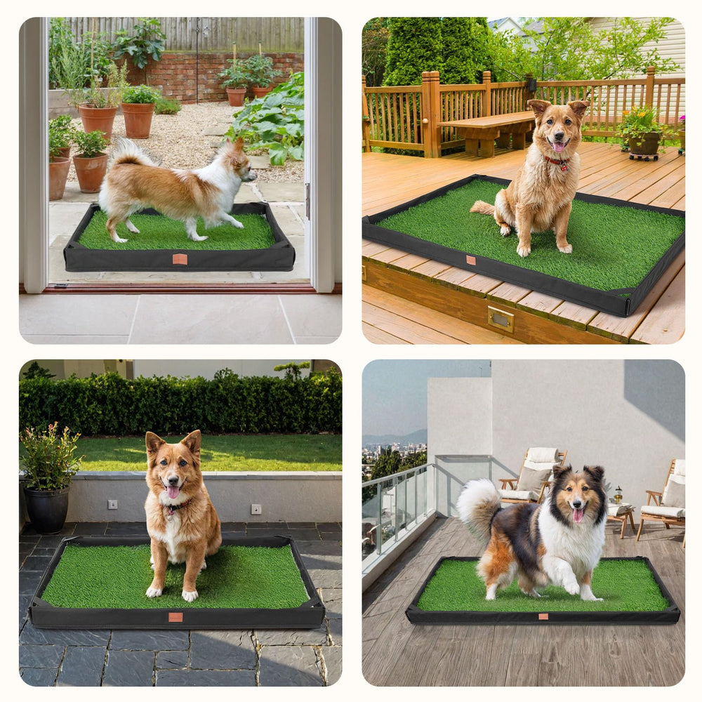 LOOBANI dog grass pad cleaning demo showing quick upkeep.