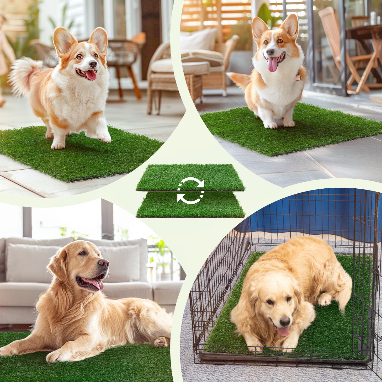 LOOBANI all-season design suitable for indoor potty and outdoor use.