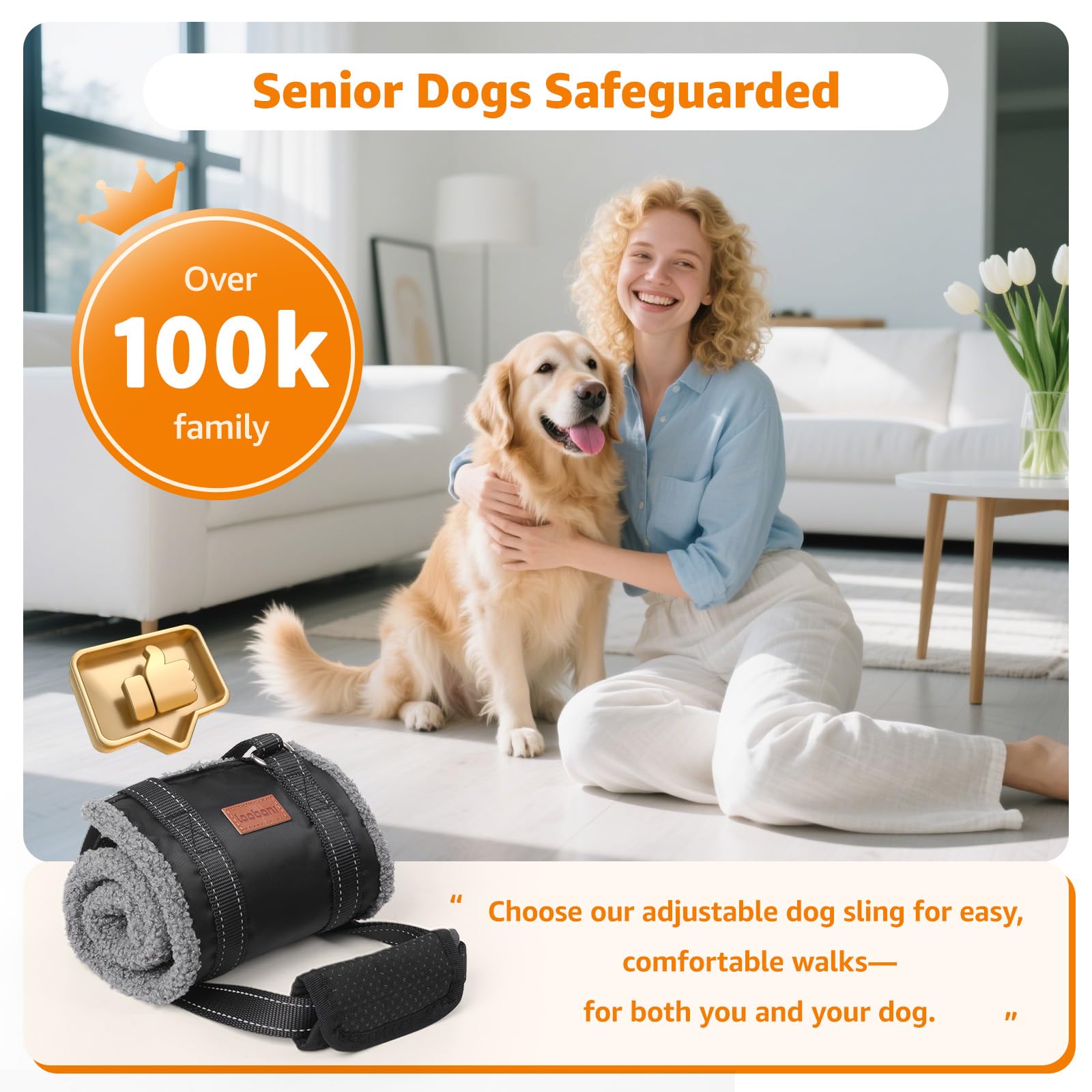 LOOBANI dog mobility aid used in car for easier entry.
