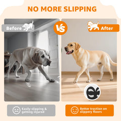 LOOBANI dog paw pads application shot demonstrates easy placement