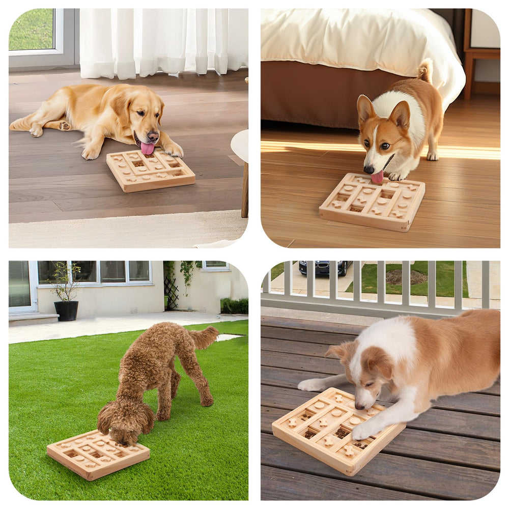 LOOBANI mental-stimulation toy supports daily enrichment and engagement