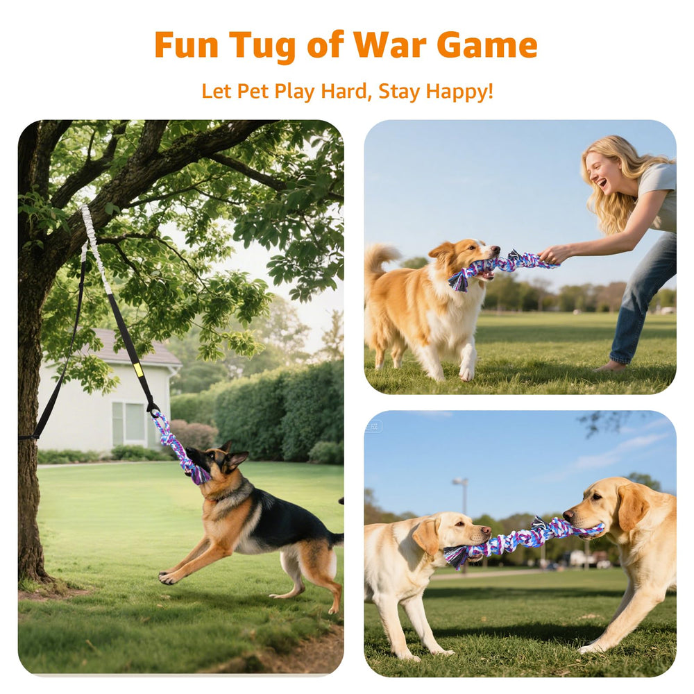 LOOBANI packaging image shows gift-ready dog rope toys.