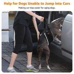 LOOBANI dog sling padded handle keeps your hand comfortable during assists